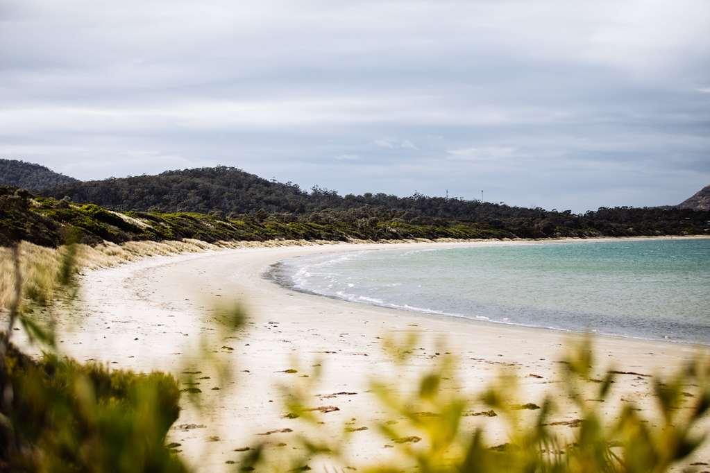 Saffire - Freycinet Hotel Коулс Бей Природа снимка